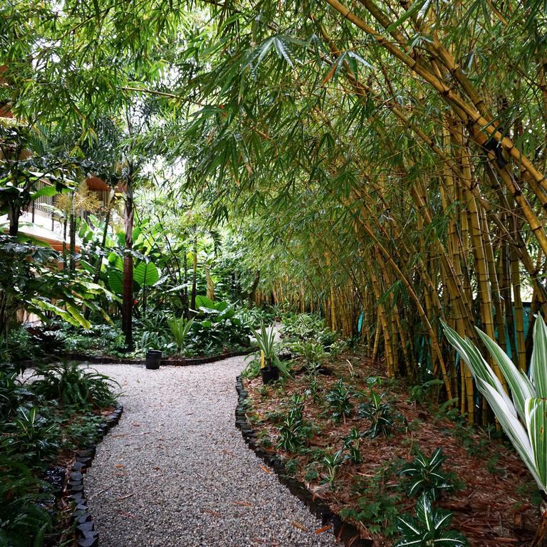Jacana Amazon Wellness Resort Paramaribo Exterior photo