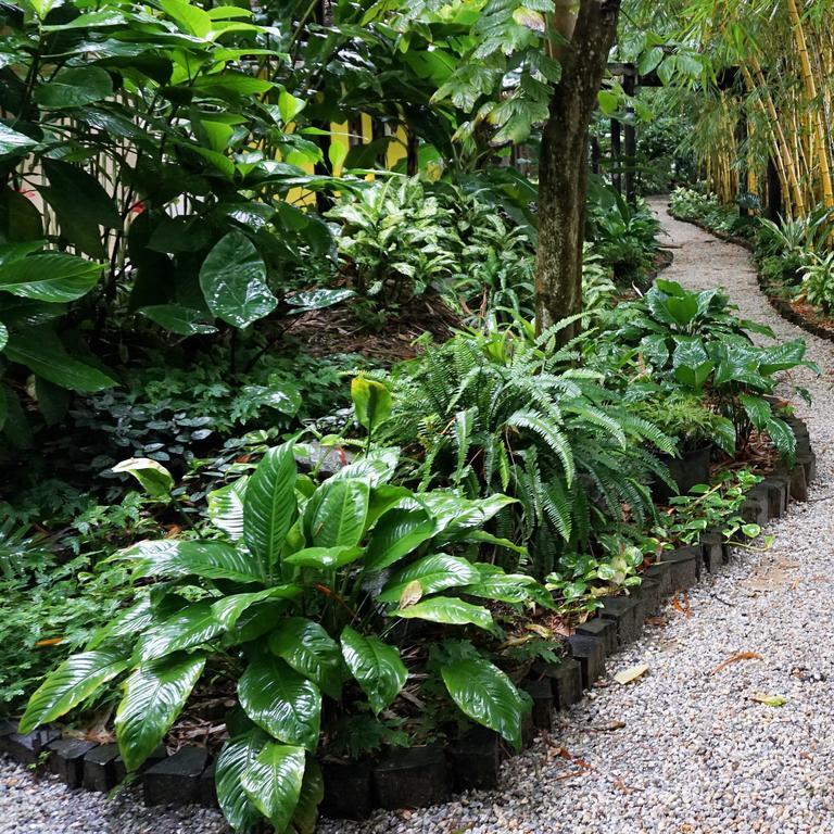 Jacana Amazon Wellness Resort Paramaribo Exterior photo