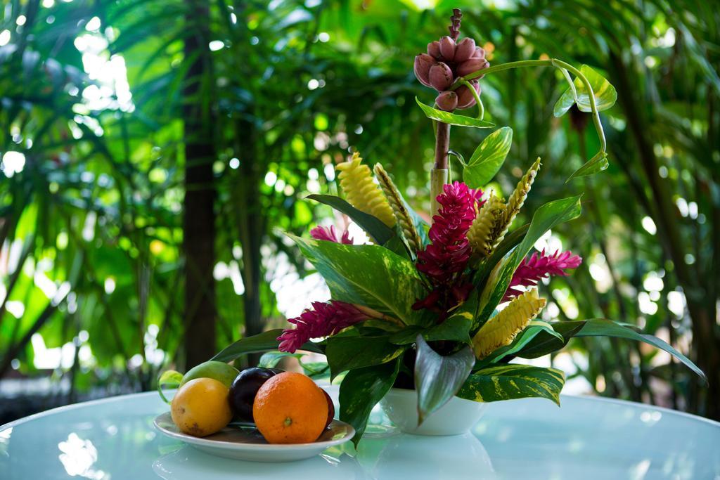 Jacana Amazon Wellness Resort Paramaribo Exterior photo